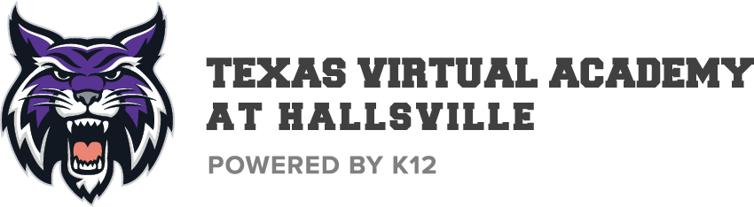 Academia Virtual de Texas Hallsville